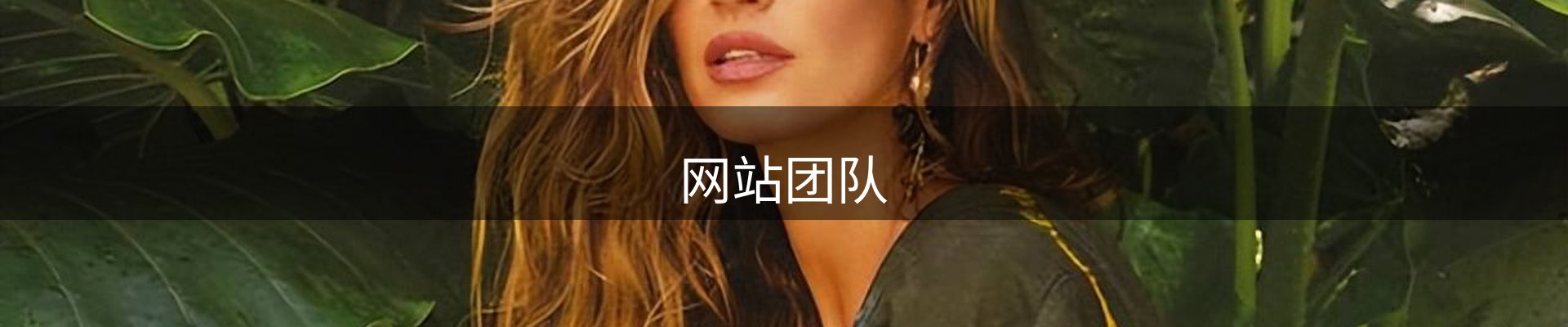网站团队